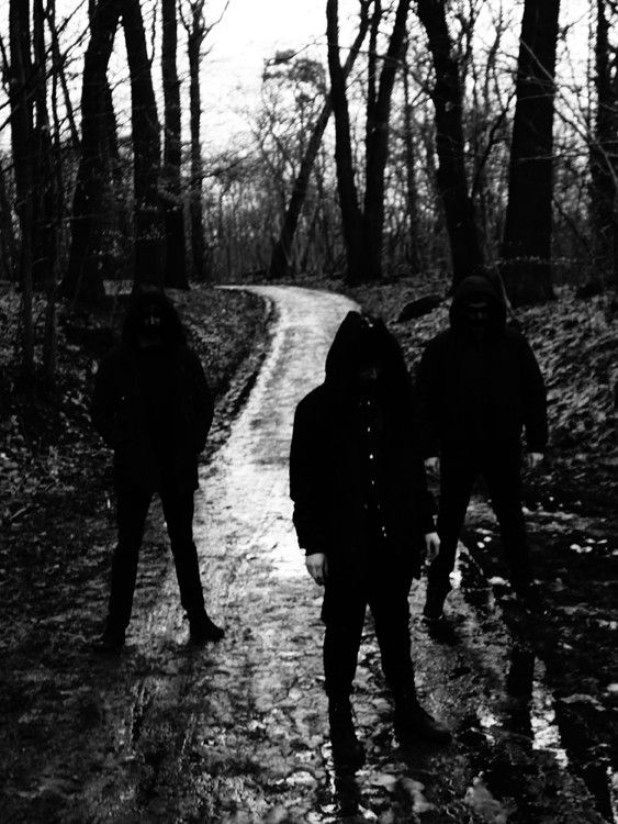 phuturedoomforest1web.jpg.jpeg