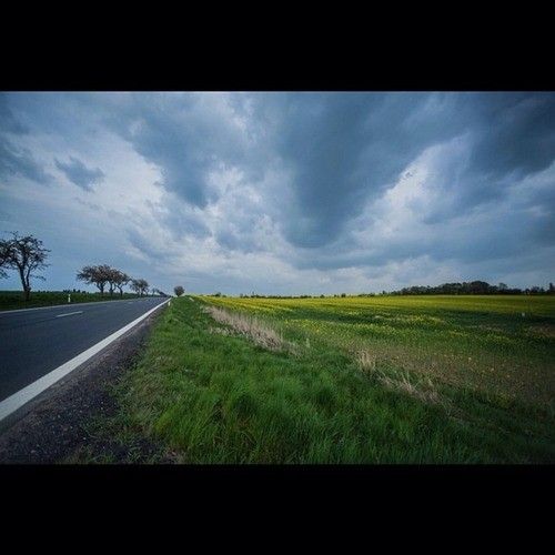 artworks-000078828752-0b73l0-t500x500.jpg