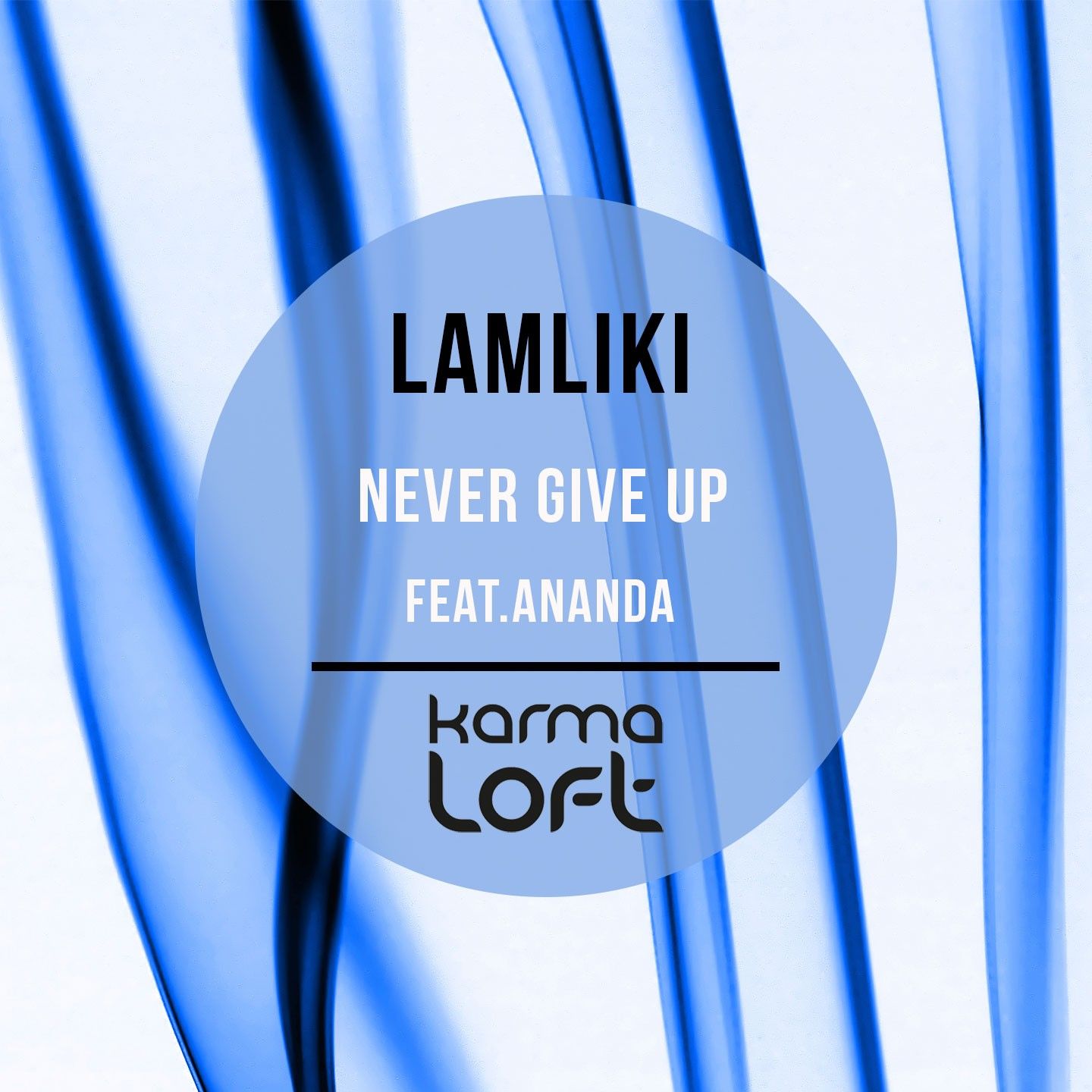 nevergiveup.jpg