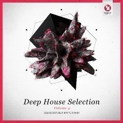 armadadeephouse.jpg