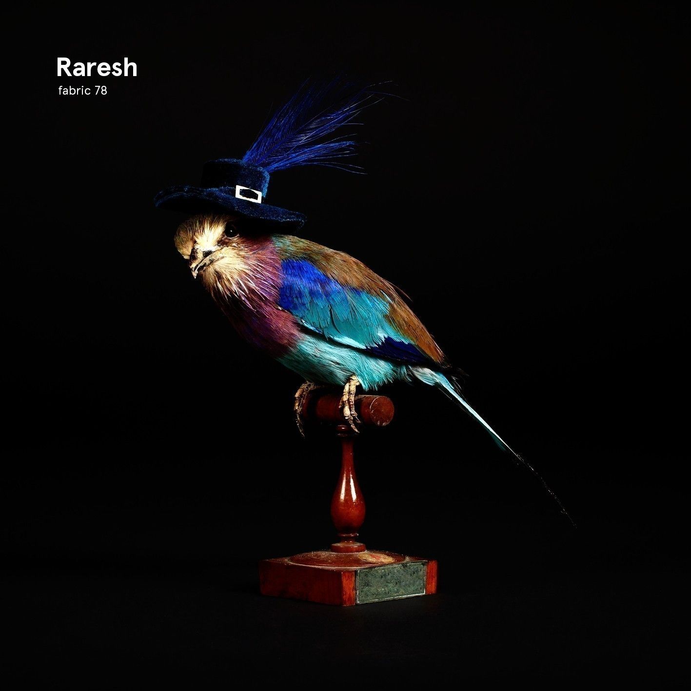 fabric78-raresh-packshot.jpg