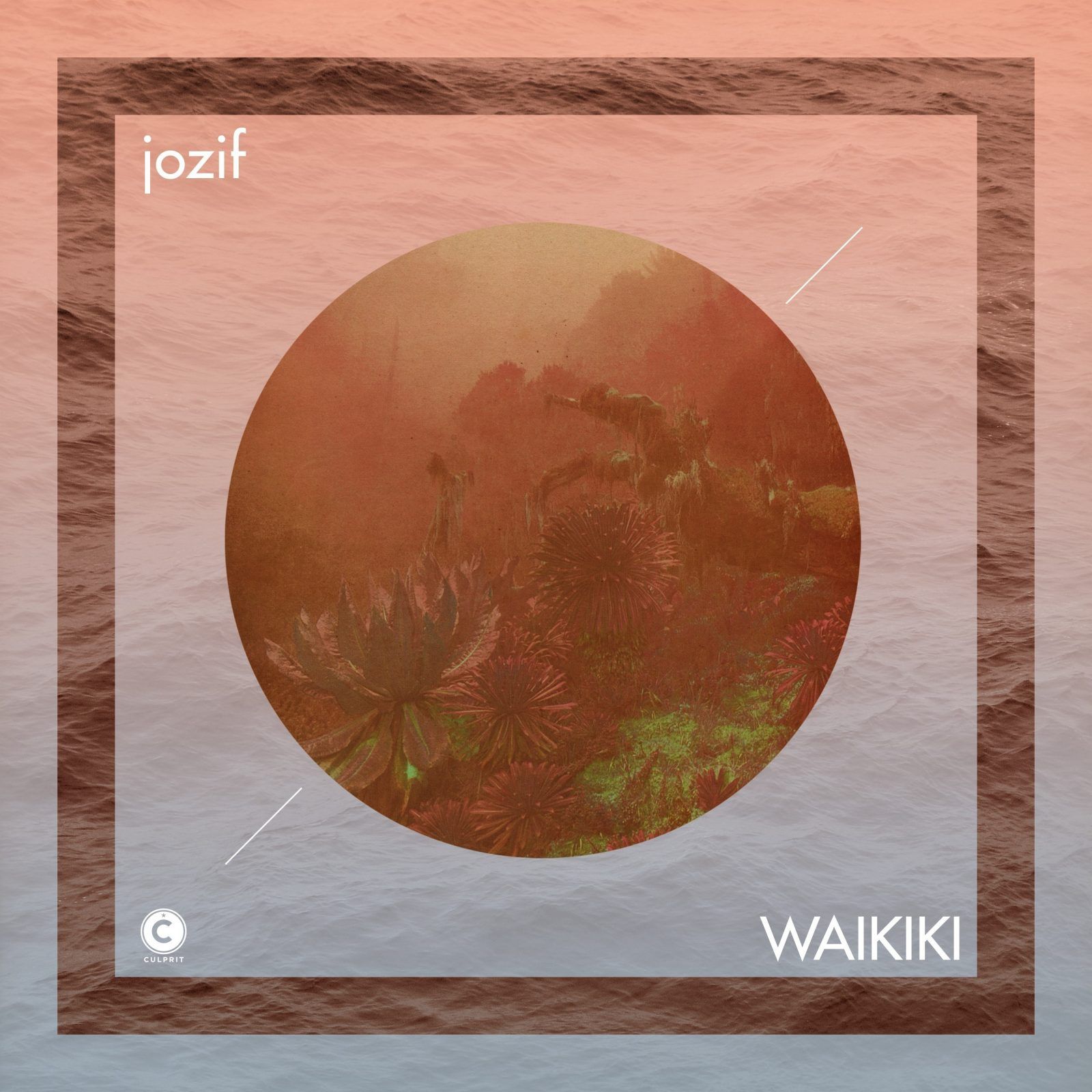 waikiki.jpg