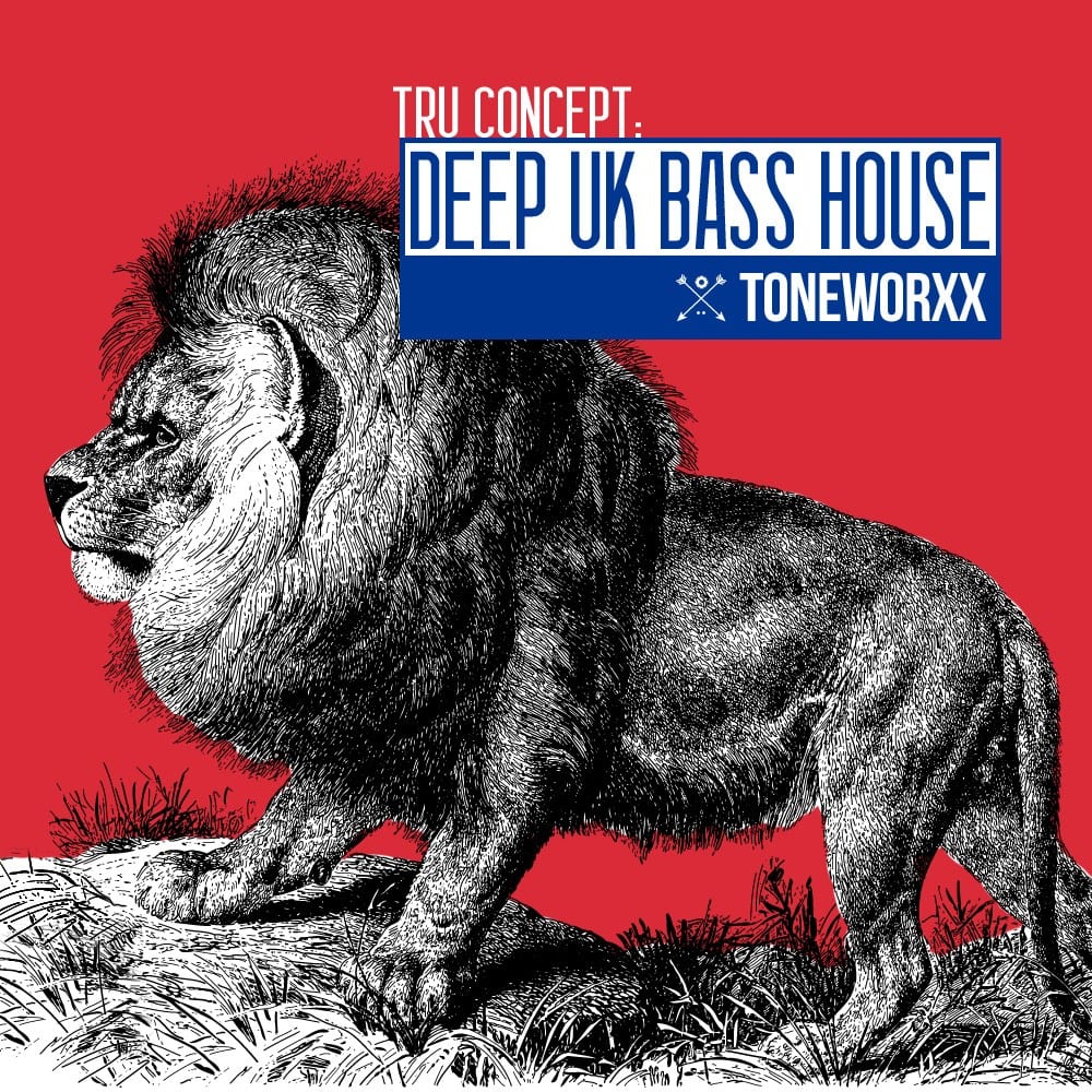 twtruconceptdeepukbasshouse1000.jpg