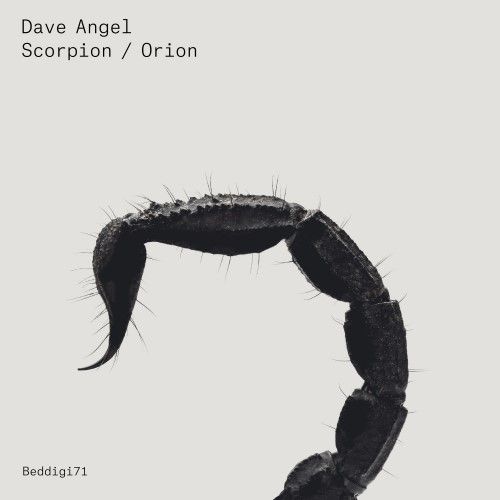 daveangel.jpg