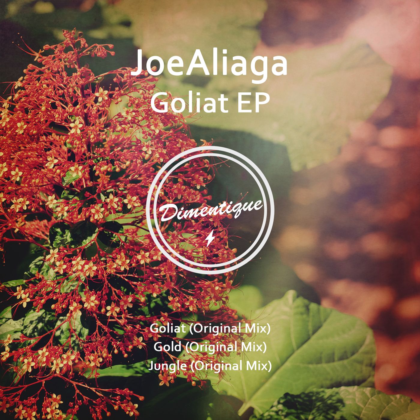 dimentique_new_art_2016_joealiaga_goliat_ep.jpg