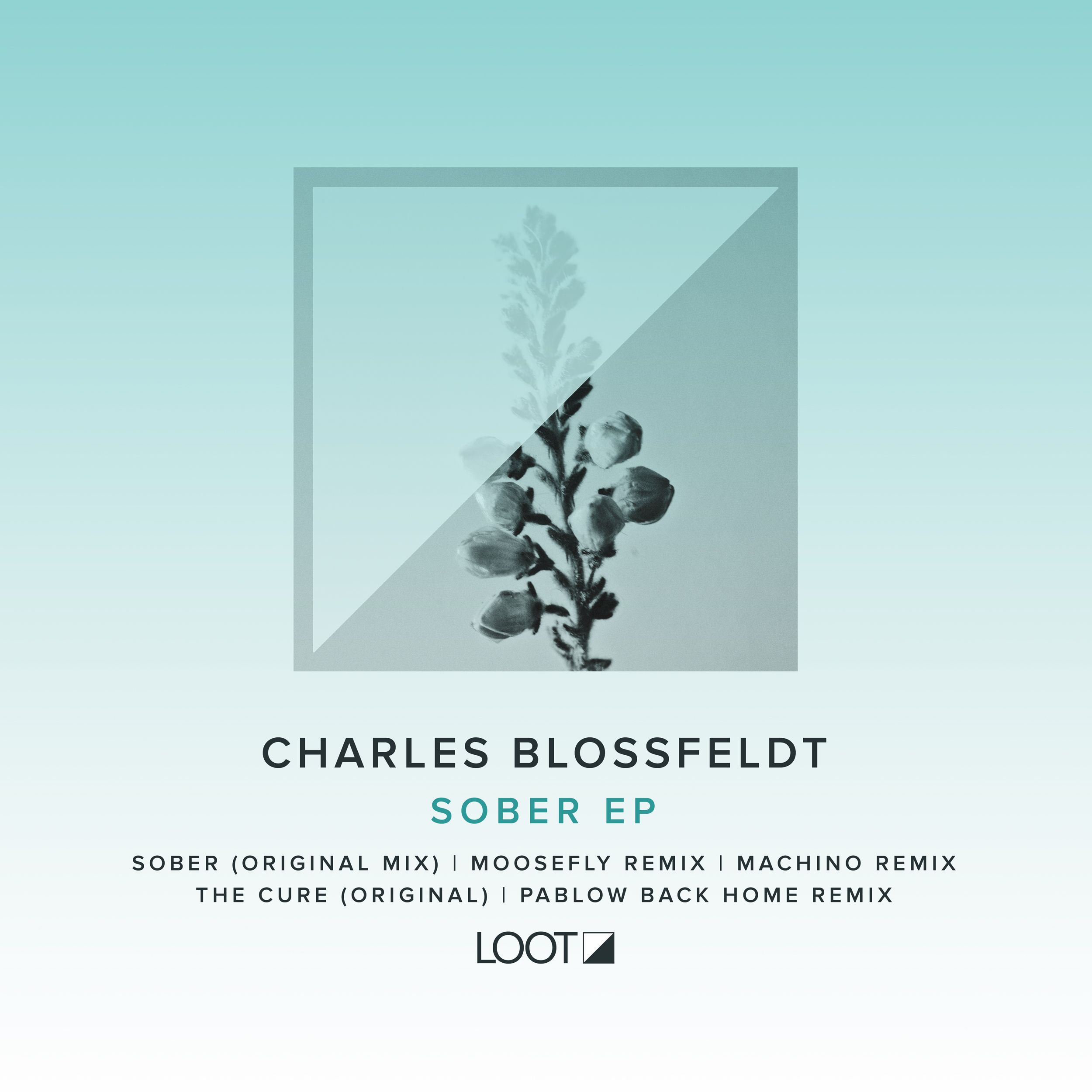 lootrec006_charlesblossfeldt_2500.jpg