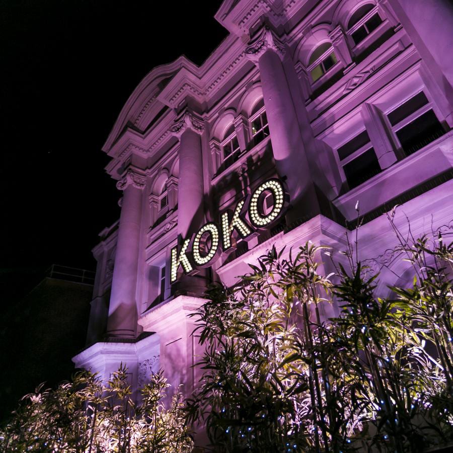 koko1.jpg