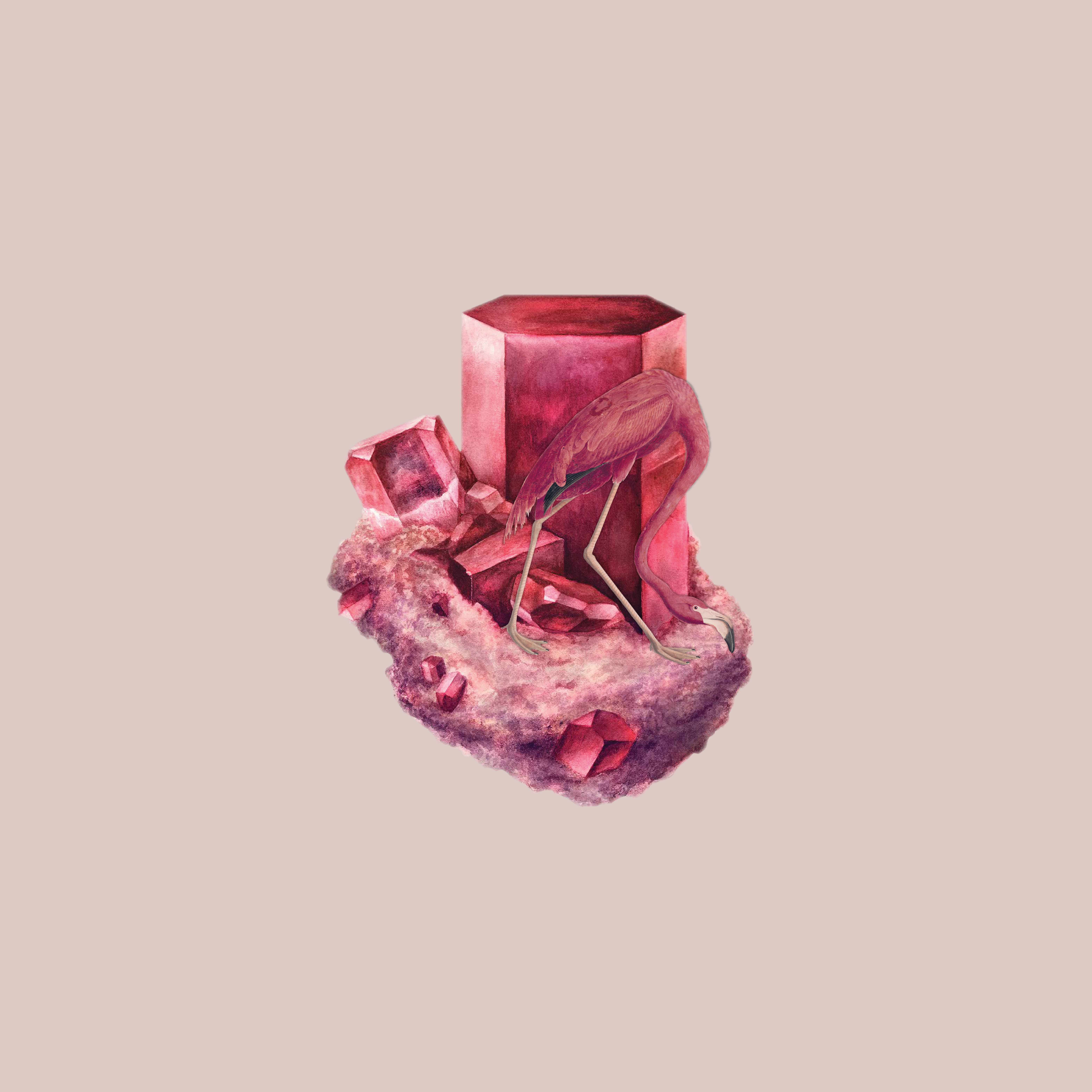 201601_-_collaborations_1_1500x1500-1.jpg