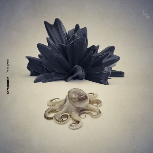 artworks-000168405959-7i700v-t500x500.jpg