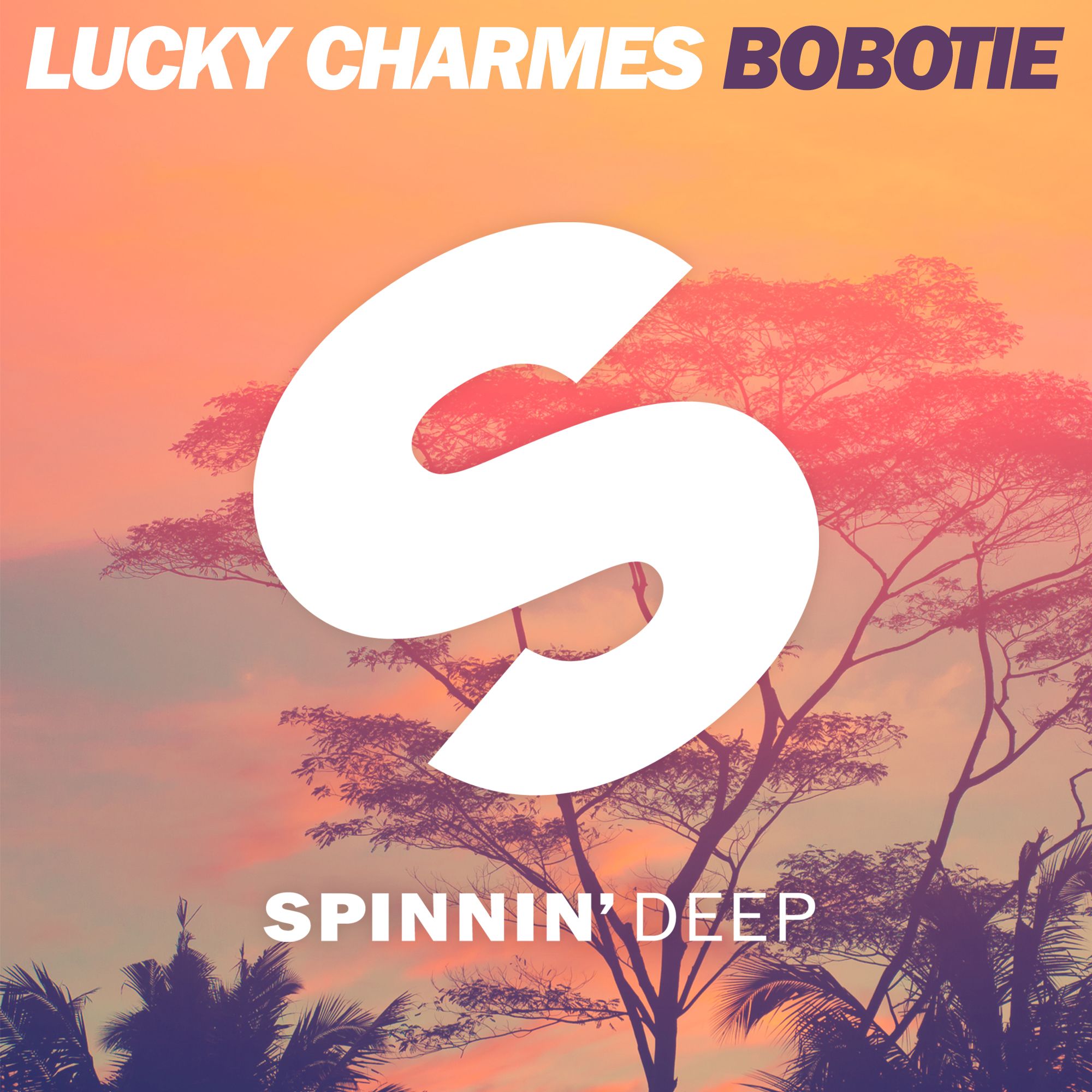 spdeep_lucky_charmes_-_bobotie.jpg