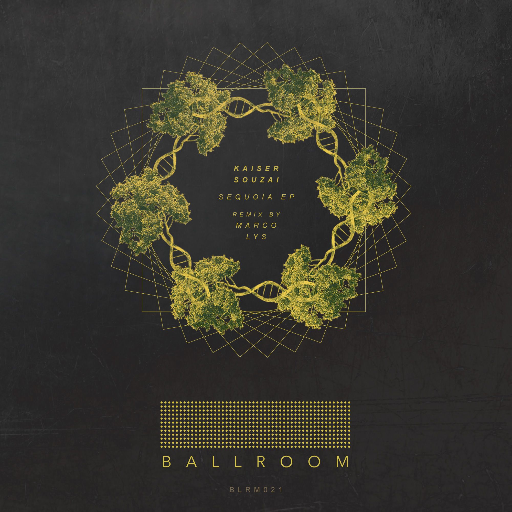 ballroom-kaisersouzai-sequoiaep.jpg