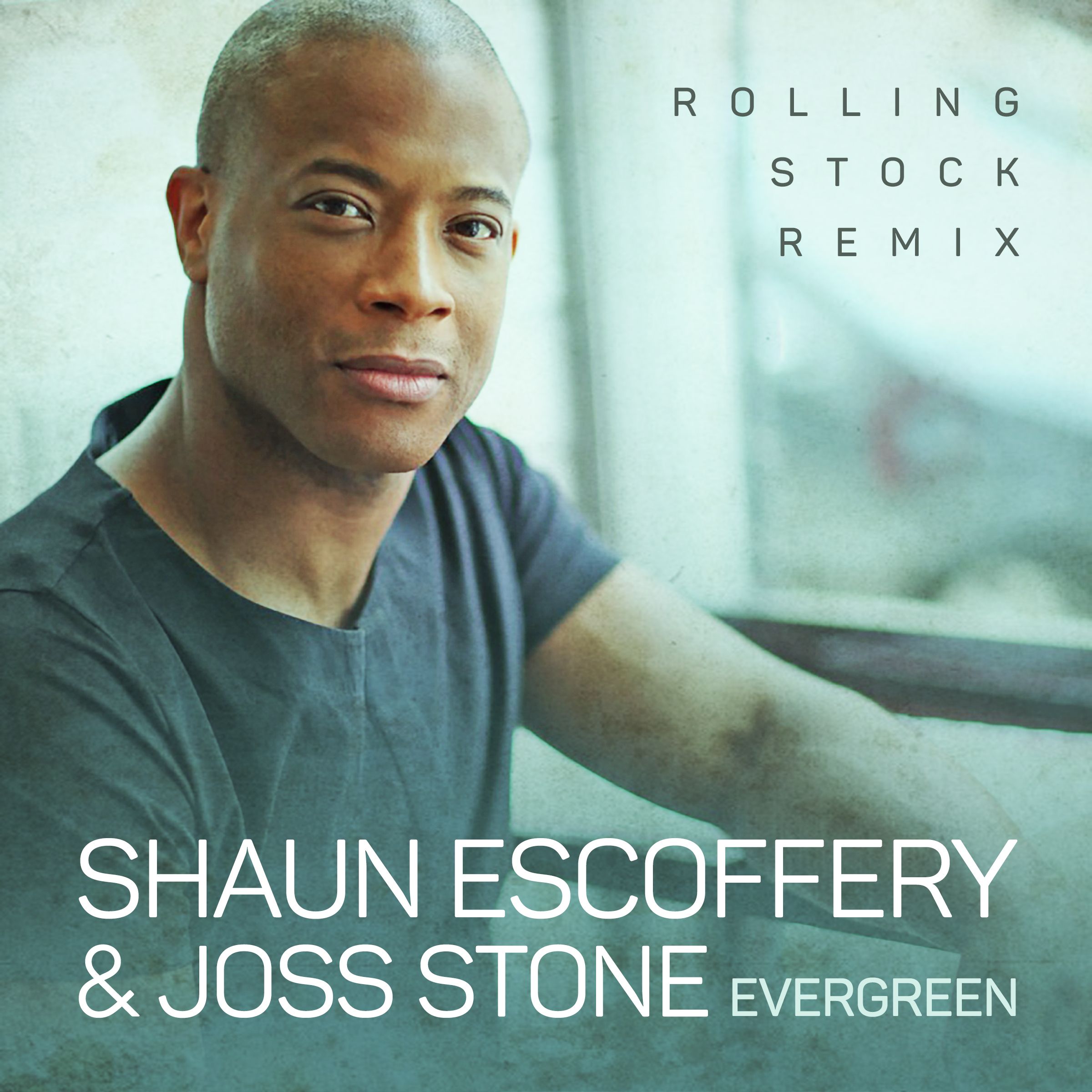 evergreensleeve.jpeg