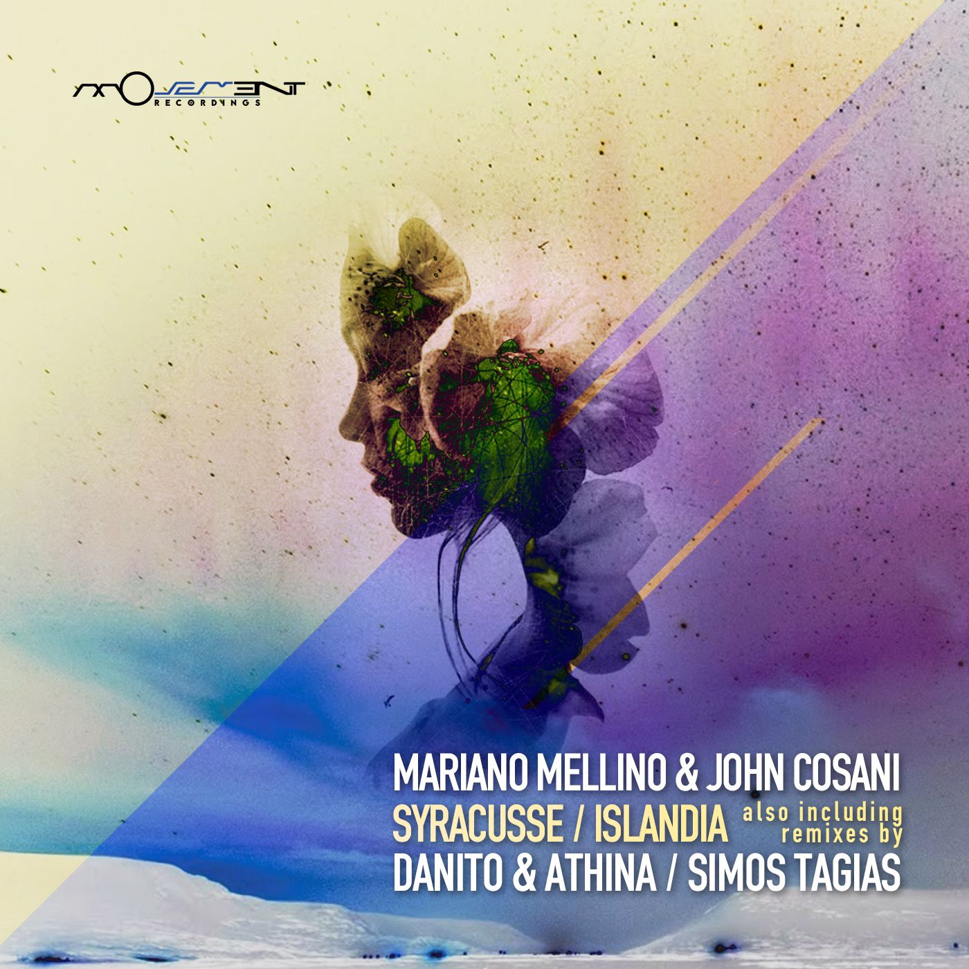 movd0137.jpg