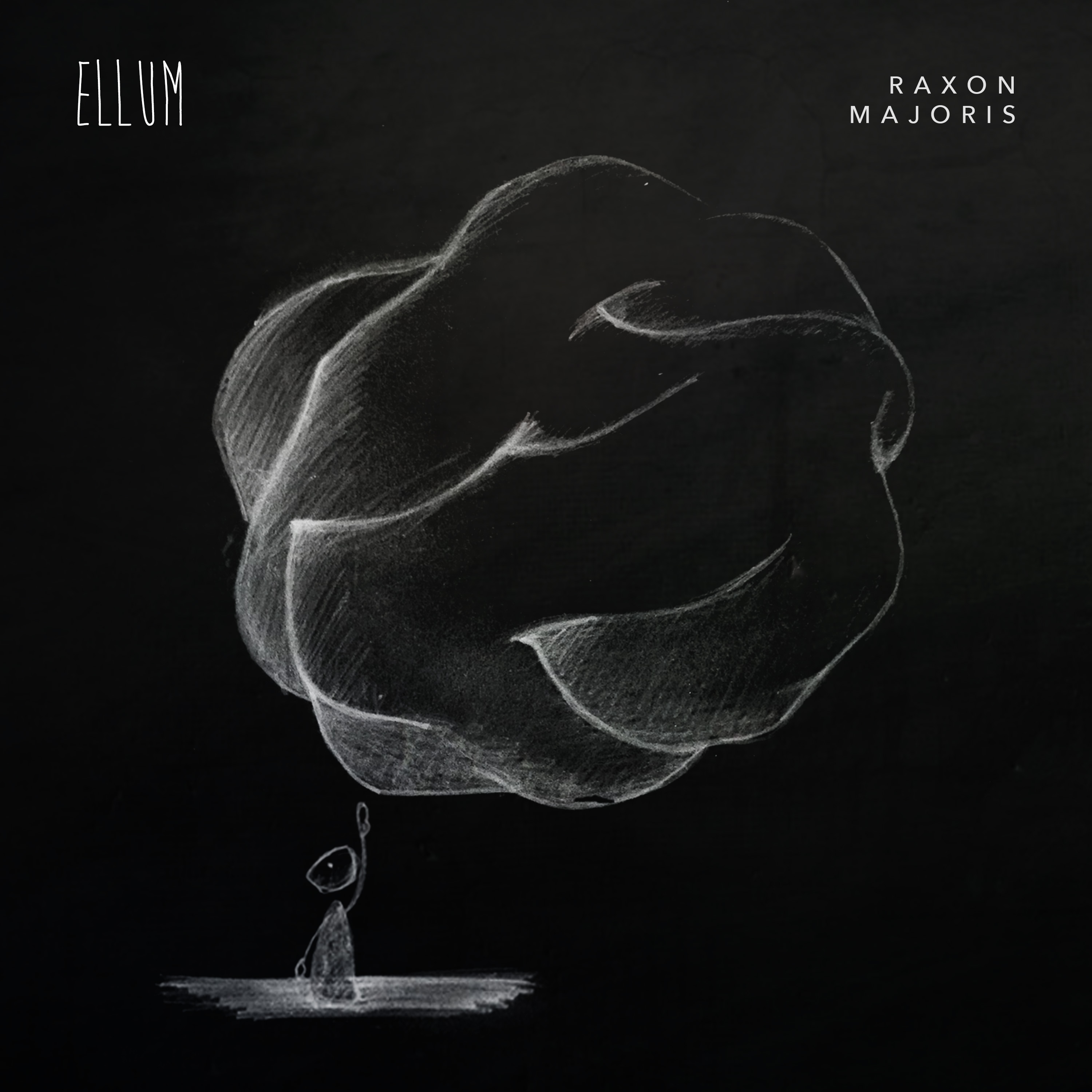 ellum_raxon.jpg