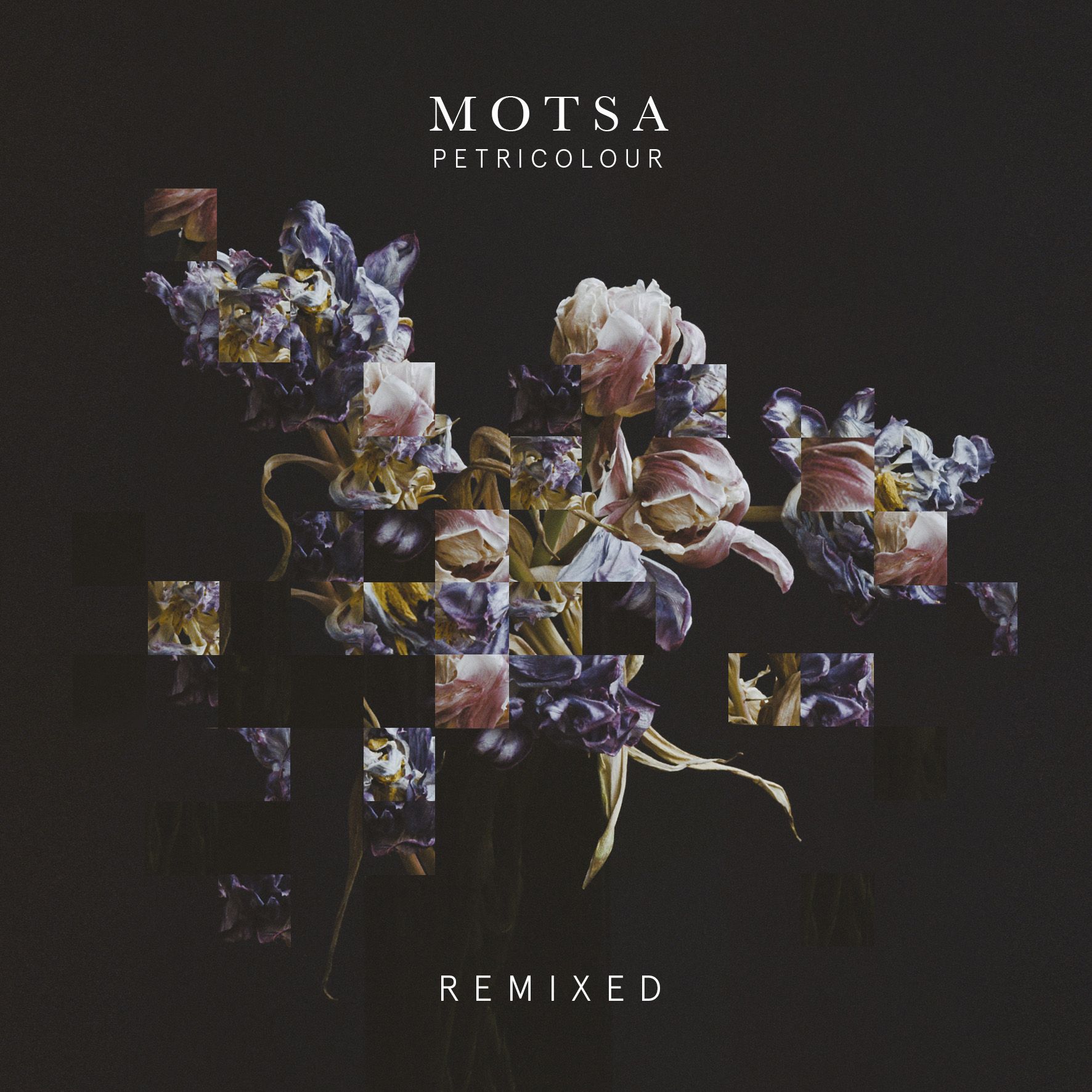 motsa_-_petricolour_remixed_-_ptrclr_002_artwork.jpeg