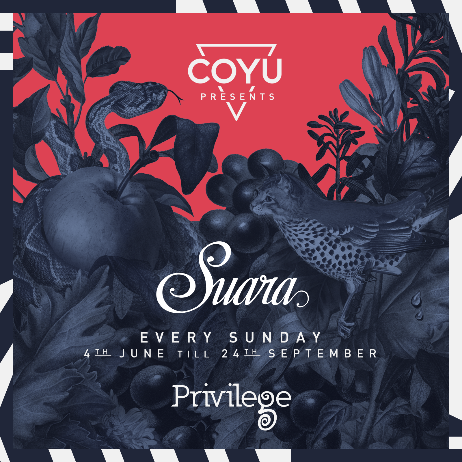 suara_squared_anuncio_generico_1600x1600.png