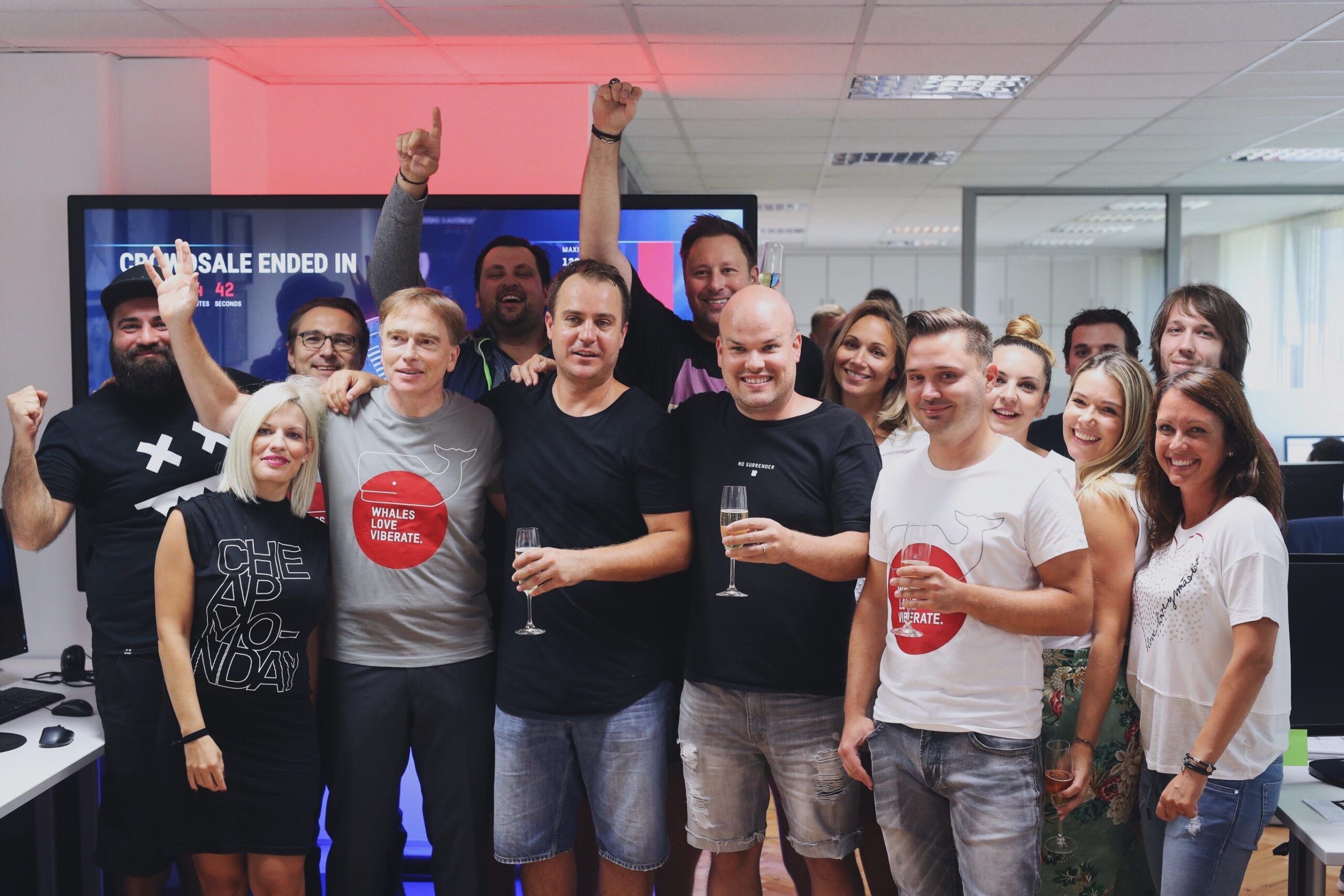 viberate_crowdsale_event_2.jpg