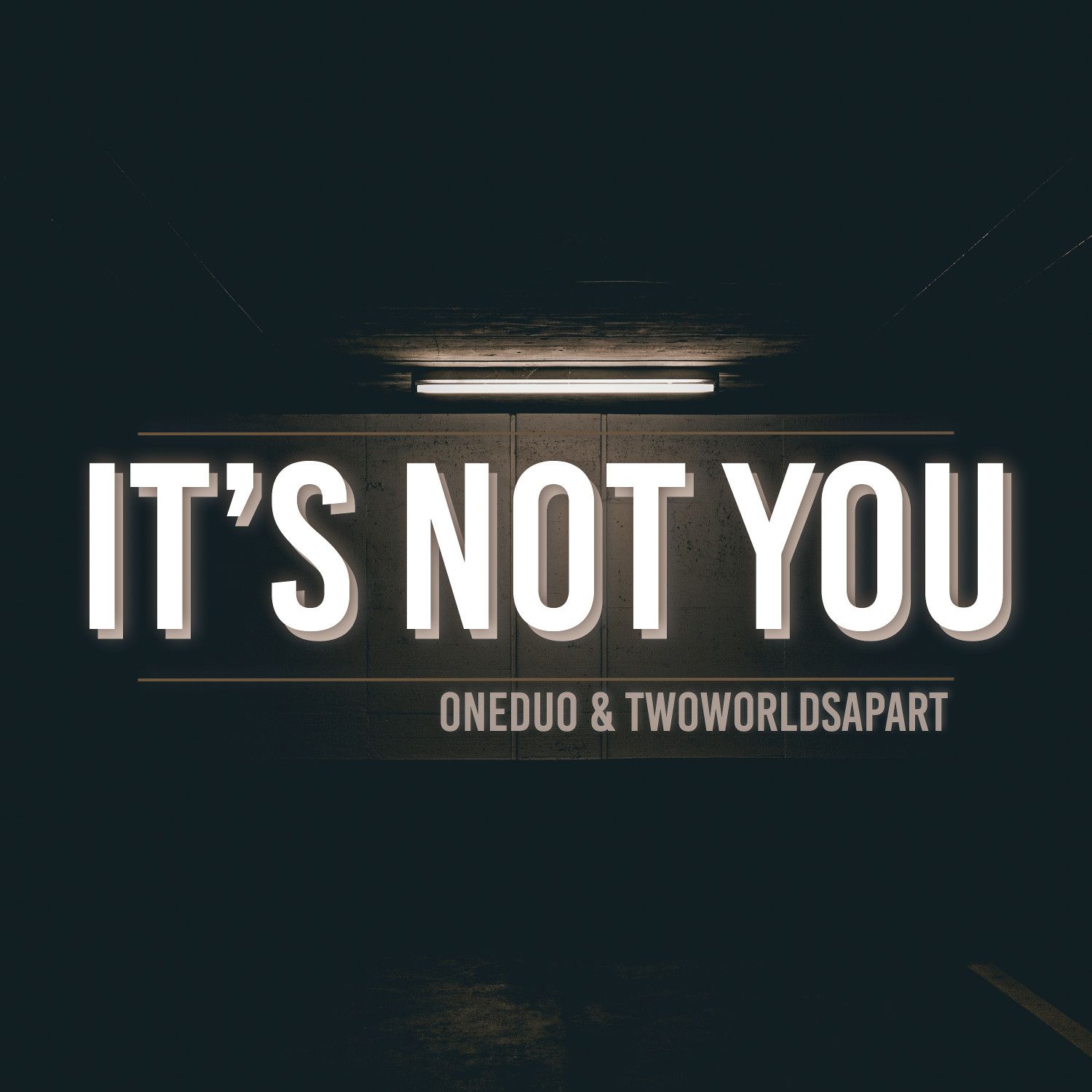 oneduo_twoworldsapart_feat._delaney_jane_-_its_not_you.jpg