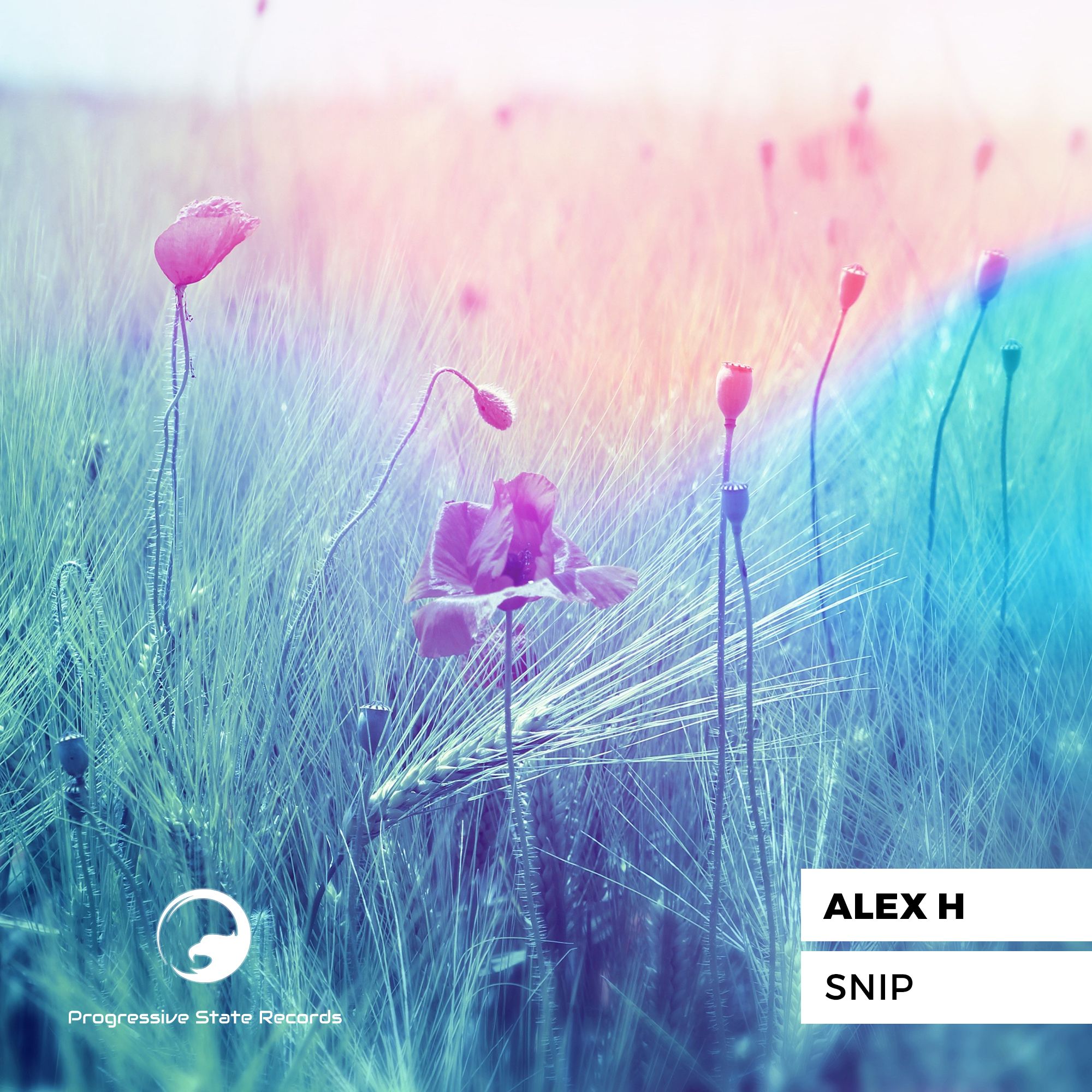 alex_h_-_snip_progressive_state_records.jpg