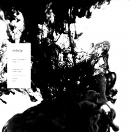 packshot_various_artists_-_odd_echoes_vol.1_-_oddity-1.png
